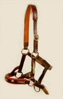 Καπίστρι από δέρμα το οποίο κατασκευάζεται σε διάφορα μεγέθη . Ράβεται στο χέρι για μεγαλύτερη αντοχή