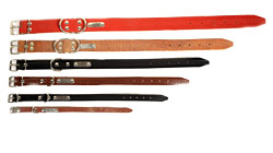 Περιλαίμιο σκύλων