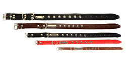 Περιλαίμιο σκύλων διακοσμημένο