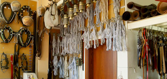 Κουδούνια για πρόβατα